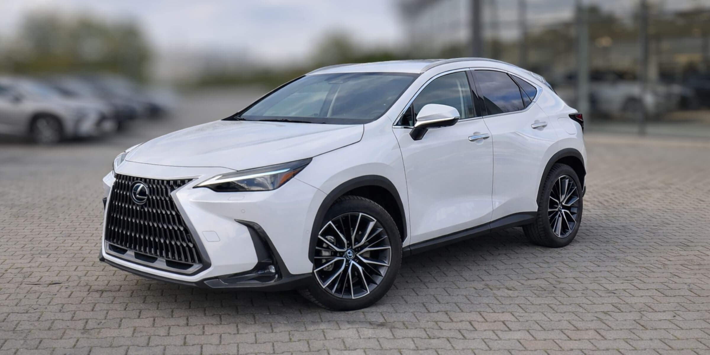 Lexus NX 350h Omotenashi
